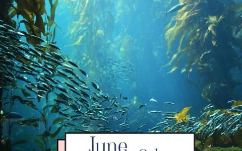 Oceans Day